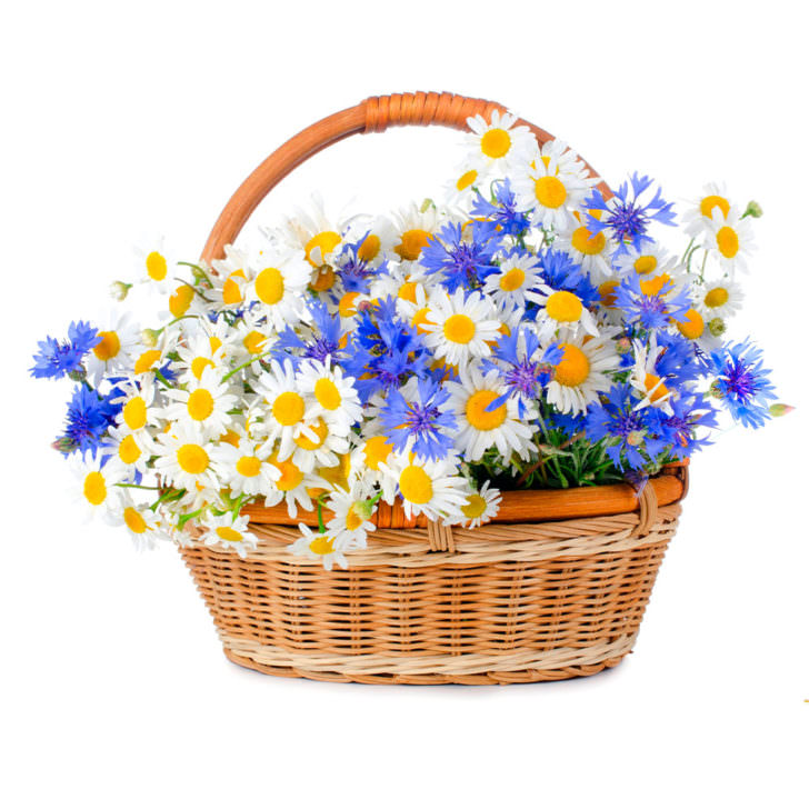 Цветы в корзинке "Весенний луг"